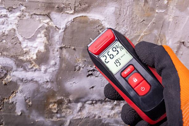 Office Mold Removal Services in Ilchester, MD