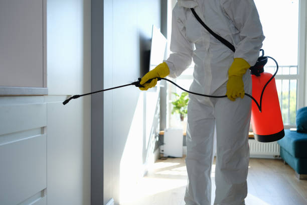 Professional Mold Removal in Ilchester, MD